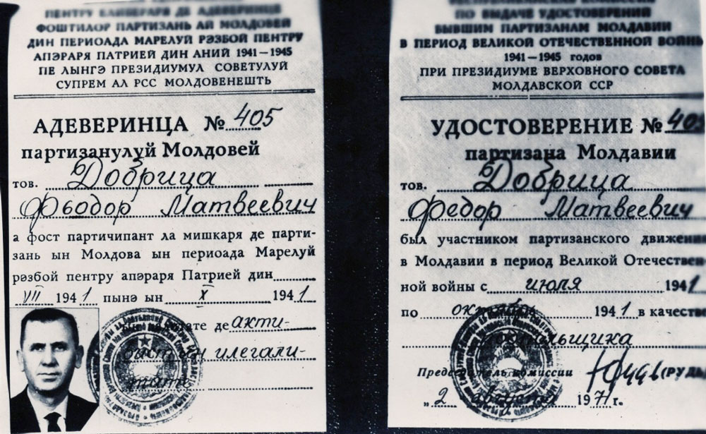 Удостоверение Ф. М. Добрица